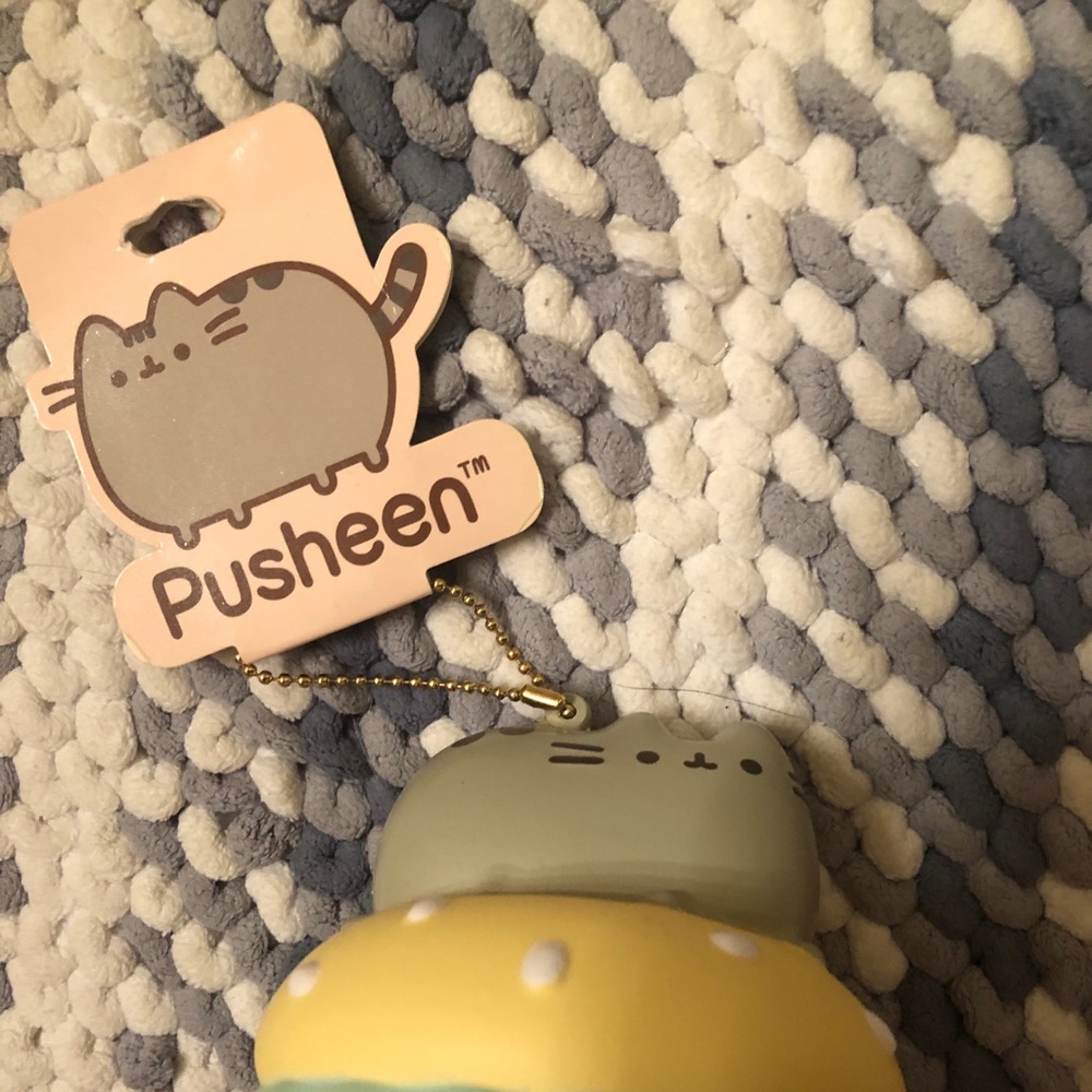 Pusheen burger really cute squishy
